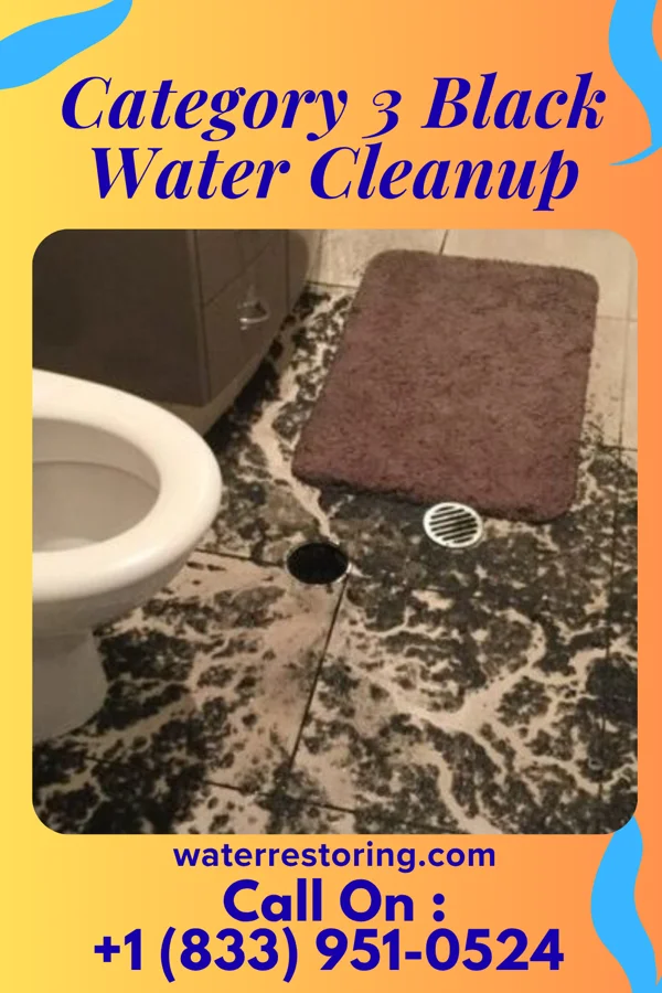 Category 3 Black Water Cleanup in Fairfield, IL