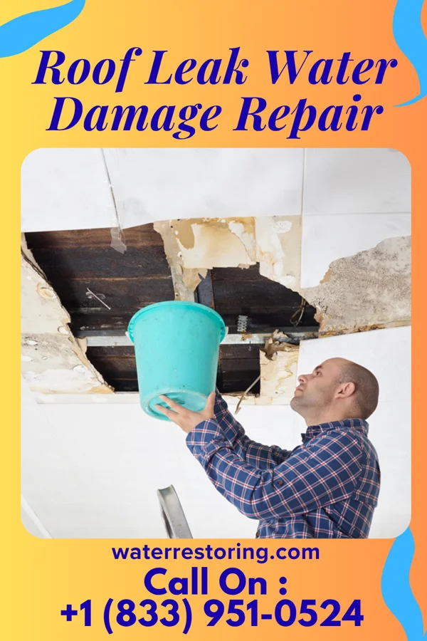 Roof Leak Water Damage Repair in Fairfield, IL